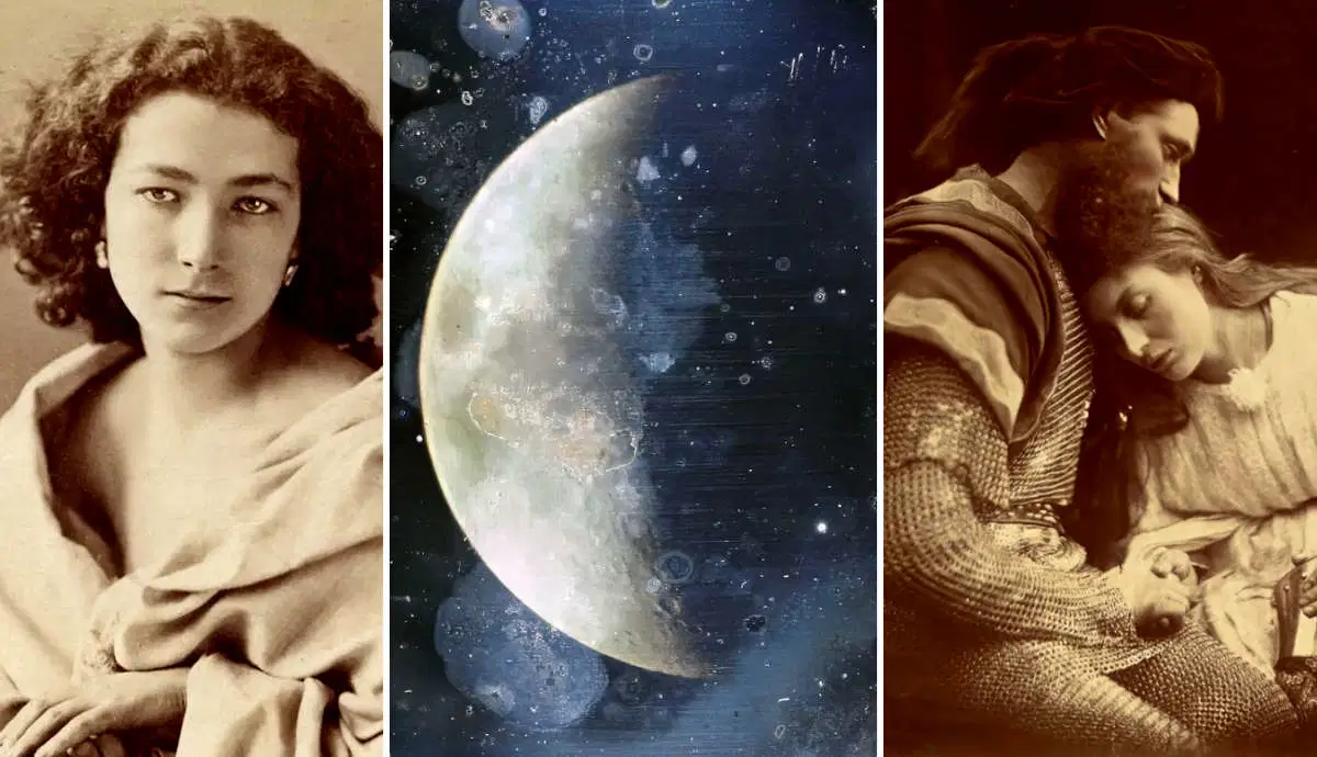 image with different photographs, created by The Collector