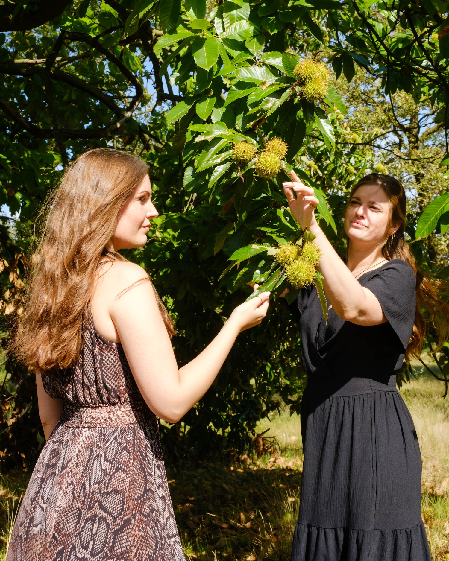 Photoshoot ALMÁR 369 by Isabel Dröge on Fujifilm X-T4