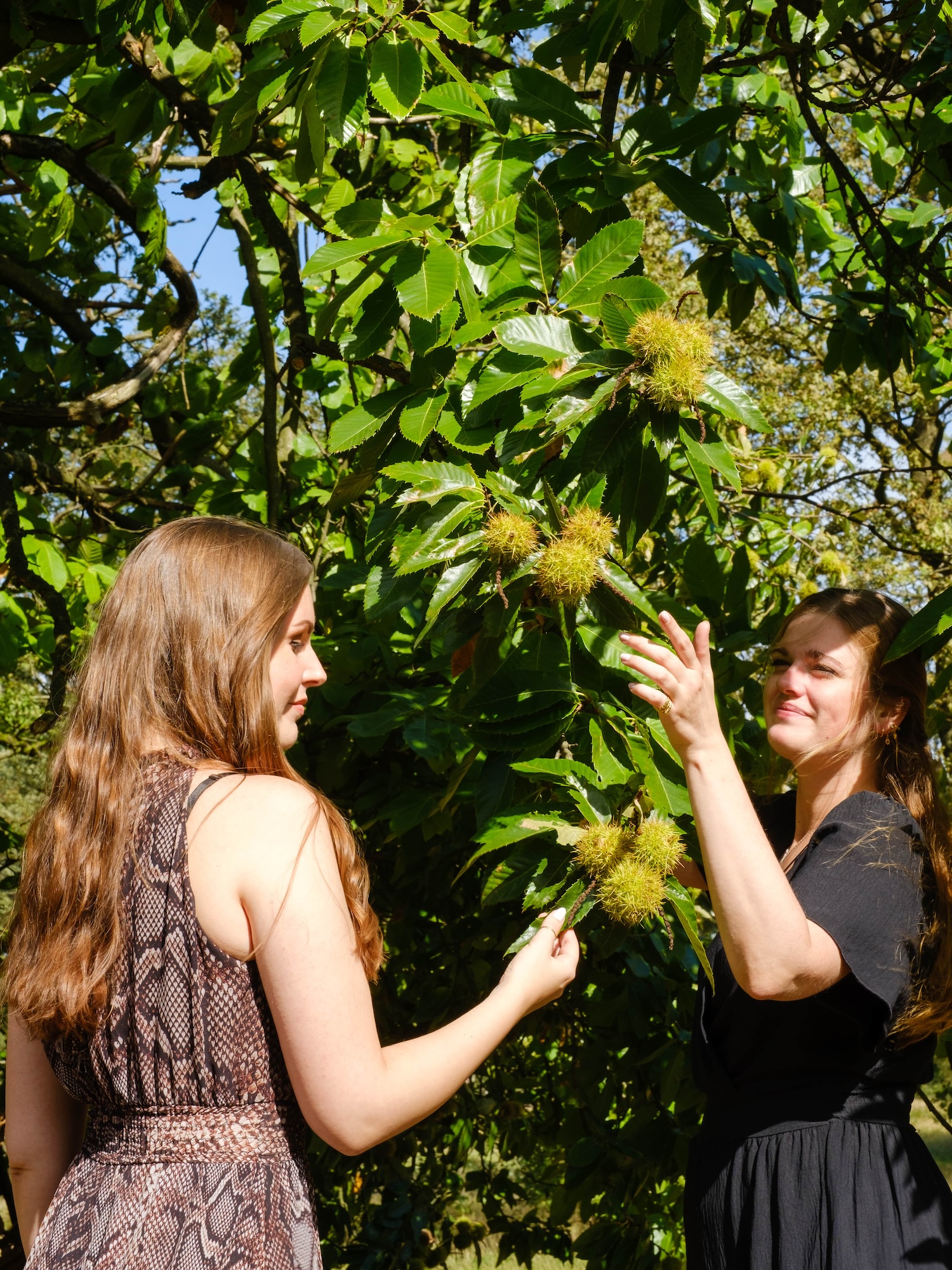 Photoshoot ALMÁR 369 by Isabel Dröge on Fujifilm X-T4