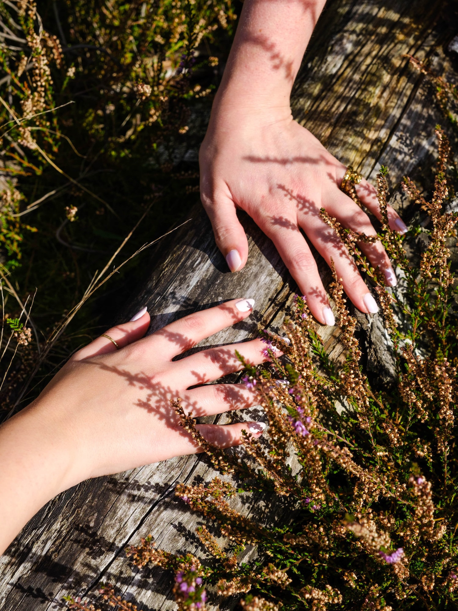 Photoshoot ALMÁR 369 by Isabel Dröge on Fujifilm X-T4