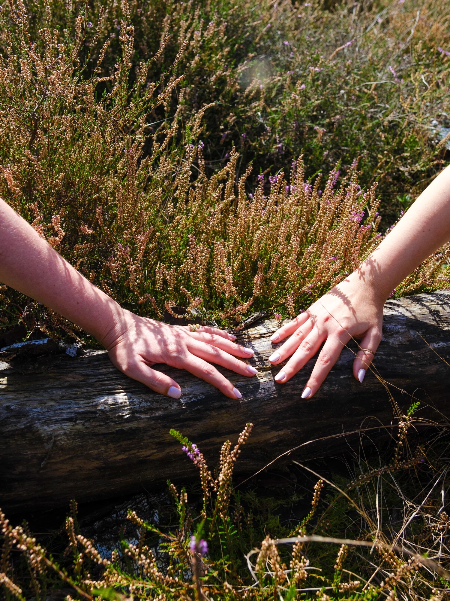 Photoshoot ALMÁR 369 by Isabel Dröge on Fujifilm X-T4